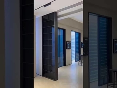 Extremely narrow entrance door 